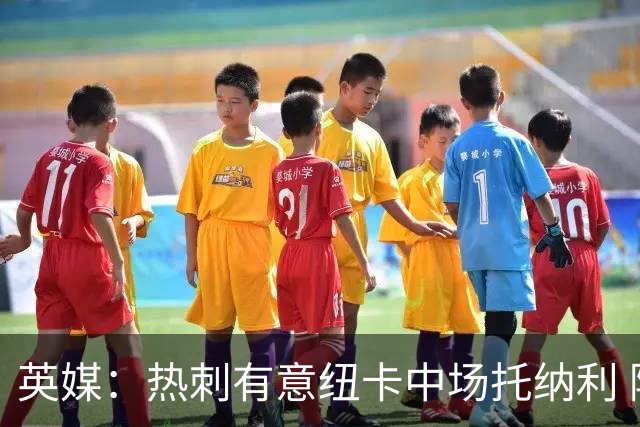 英媒：热刺有意纽卡中场托纳利 除巨额转会费外不会出售